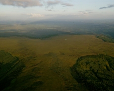 [Gallery] Slieve Blooms