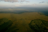 Slieve Blooms