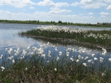 Lough Boora Sculpture & Wildlife Park